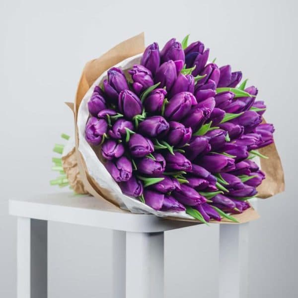 49 тюльпанов фиолетовых