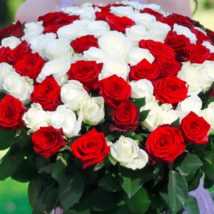 101 белая и красная розы
