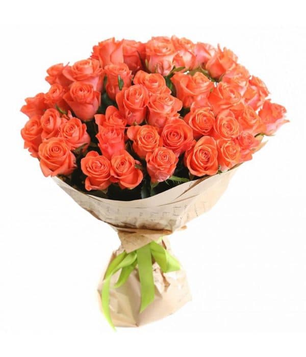 оранжевые розы(51 шт)