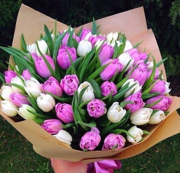 букет фиолетово белых тюльпанов