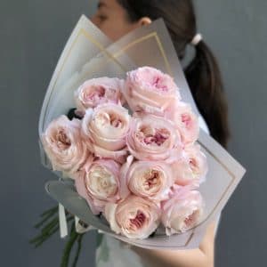 розовые пионовидные розы