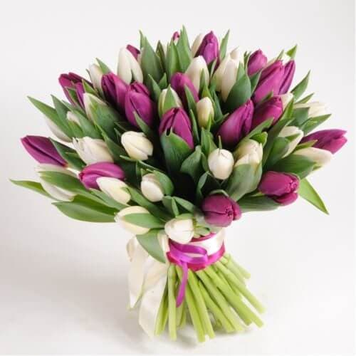 Тюльпаны белые и фиолетовые