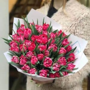 49 пионовидных тюльпанов