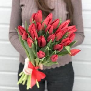 Букет красные тюльпаны 25