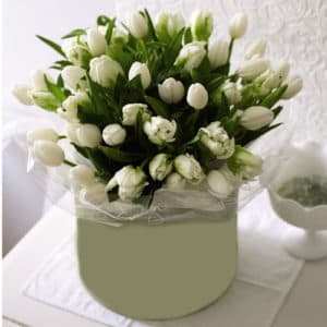 белые тюльпаны в коробке