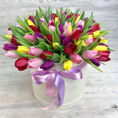 507_file_5a5f095711241-228x228 тюльпаны в коробке