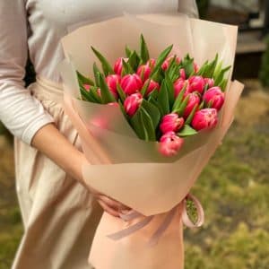 Розовые пионовидные тюльпаны (25 шт)