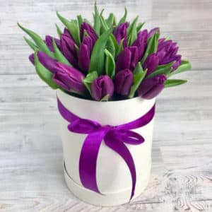 Фиолетовые тюльпаны в шляпной коробке