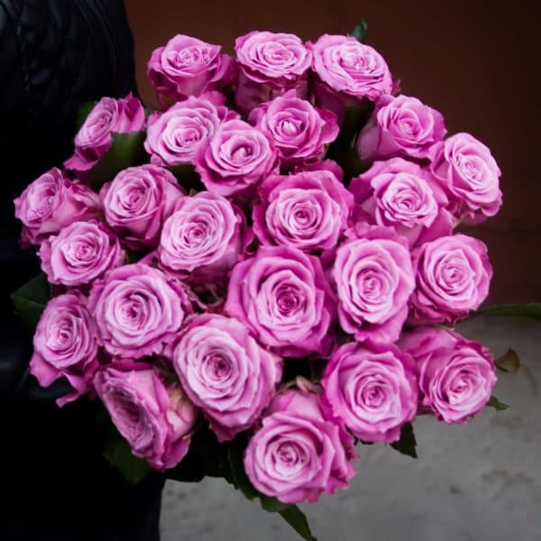 25 лиловых роз