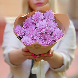 Хризантемы недорого москва доставка цветов по городу владимир