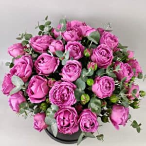 11 пионовидных роз в коробке