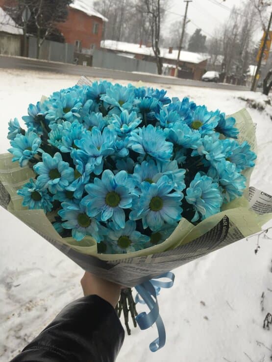 Букет «Голубые Ромашки» - Доставкой цветов в Москве! 31440 товаров! Цены от  487 руб. Цветы Тут