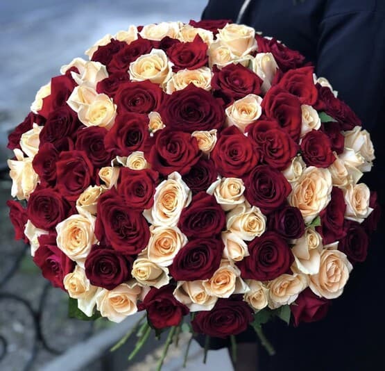 Букет из 101 крем-красной розы