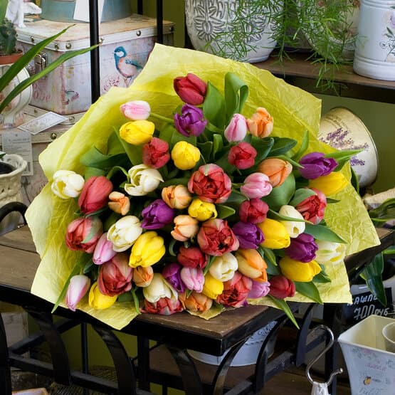 Букет из разноцветных тюльпанов (51 тюльпан)