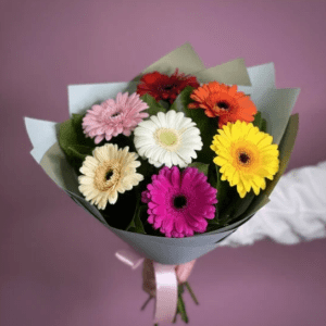 Купить цветы герберы в москве доставка цветов 24