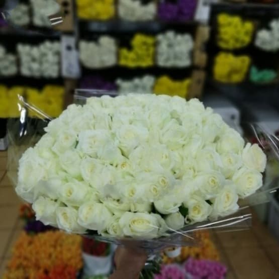 Букет из 101 белых роз в оформлении атласной лентой