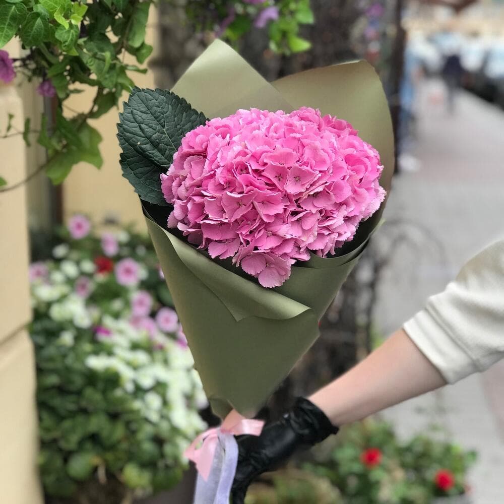 Как упаковать гортензию