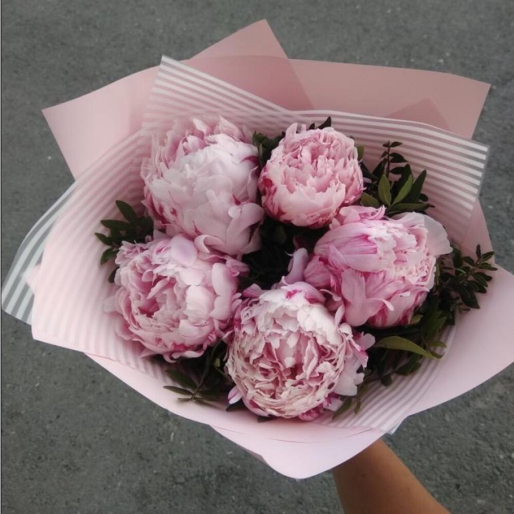 Пионы В Подарок Фото