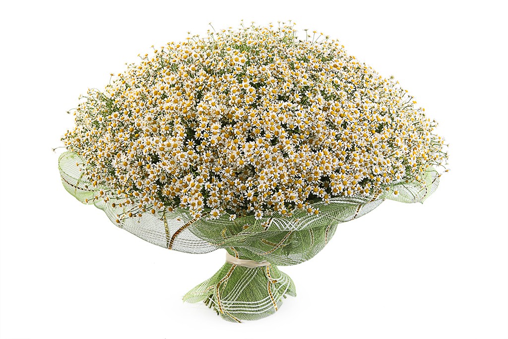 4a16f7b12123e10216c80a5e3152b4e6