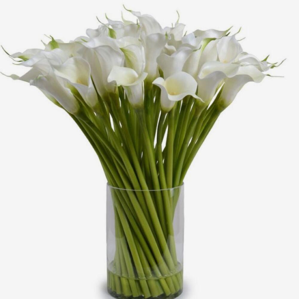 Каллы интернет магазин. Калла смесь. Каллы 9 штук букет. Весенний букет каллы. Каллы интернет магазин.