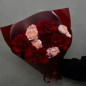 Бордовые французские розы с пионовидными