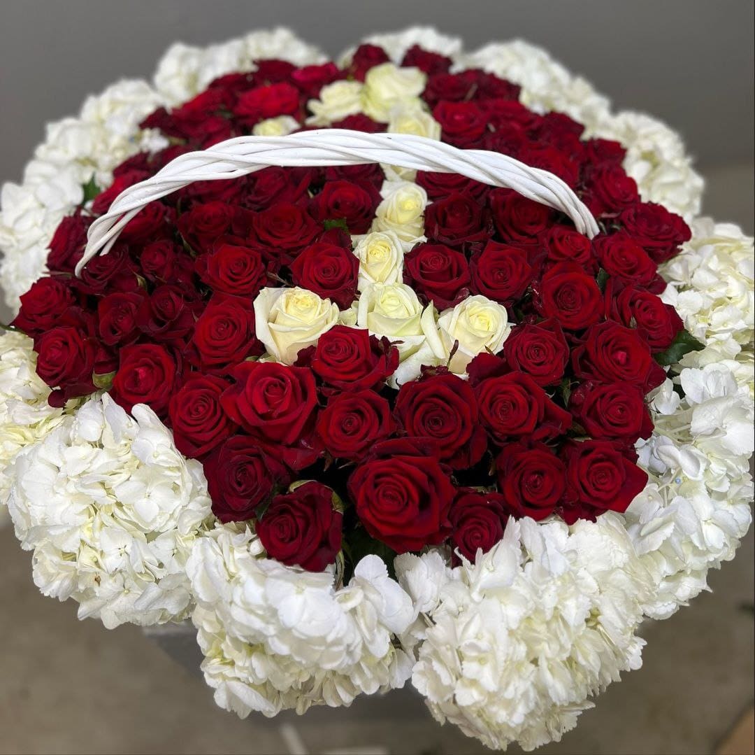 photo_5406780470777212053_y