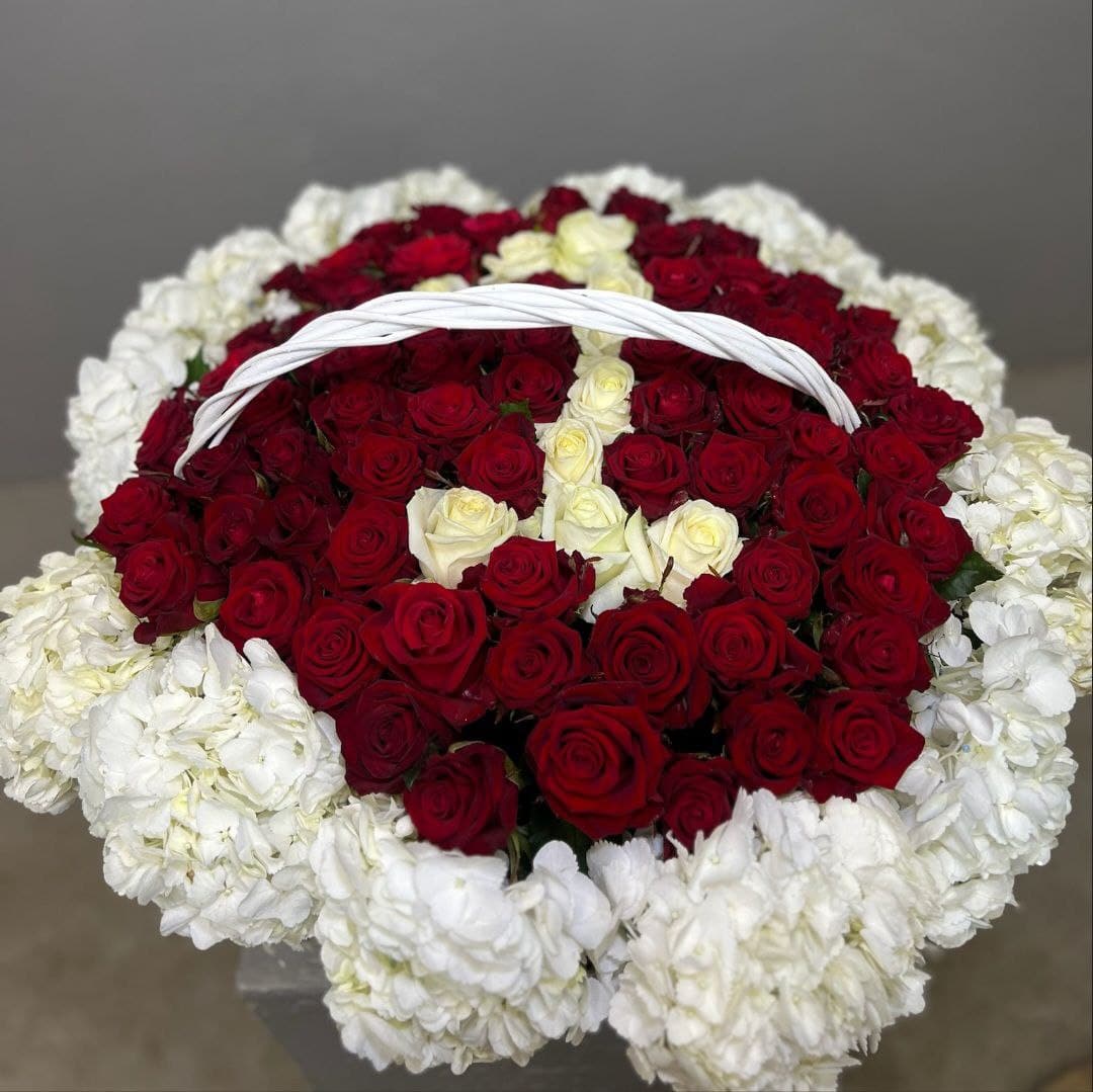 photo_5406780470777212054_y