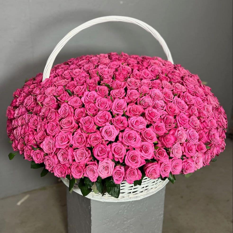 photo_5406780470777212078_y