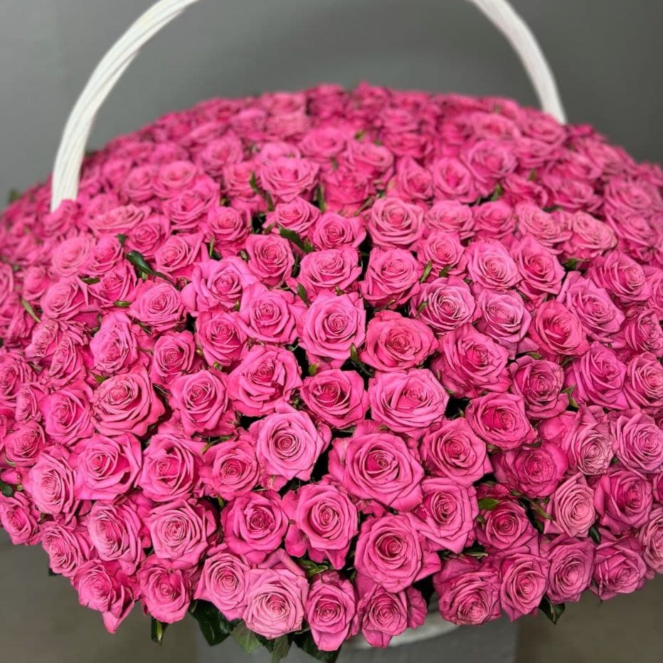 photo_5406780470777212080_y