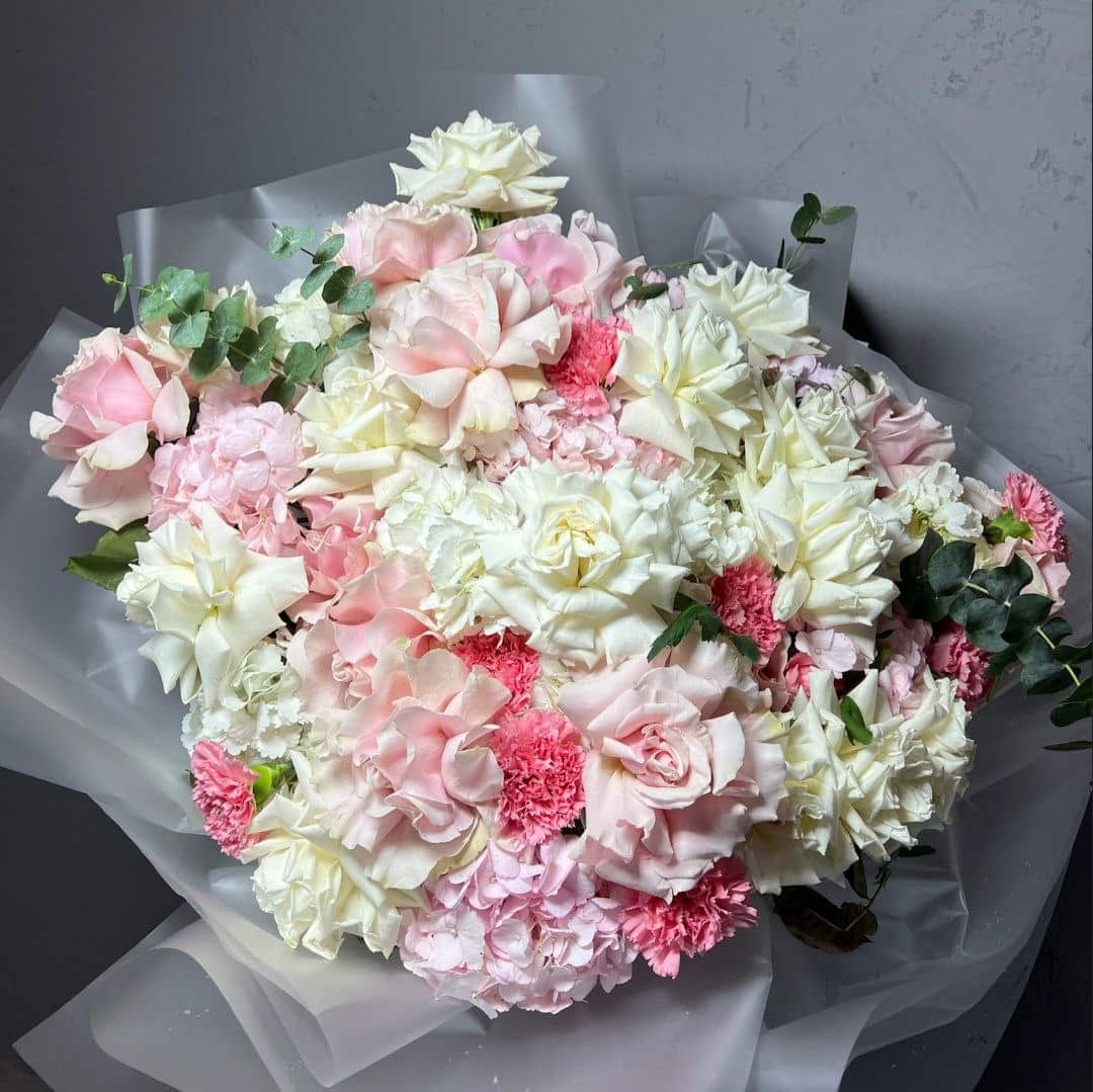 photo_5406780470777212121_y