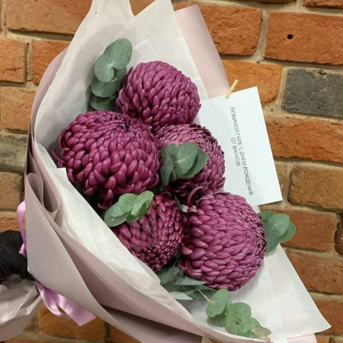 photo_5280968079678575274_x