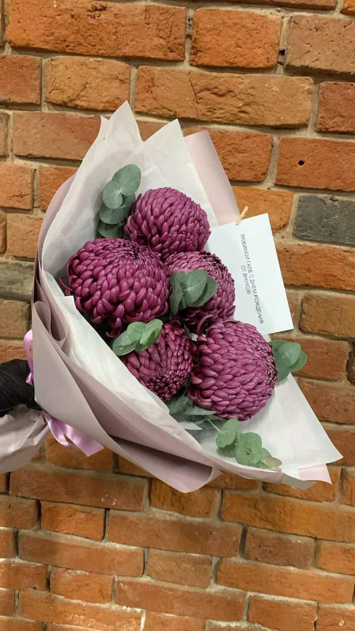 photo_5280968079678575276_y