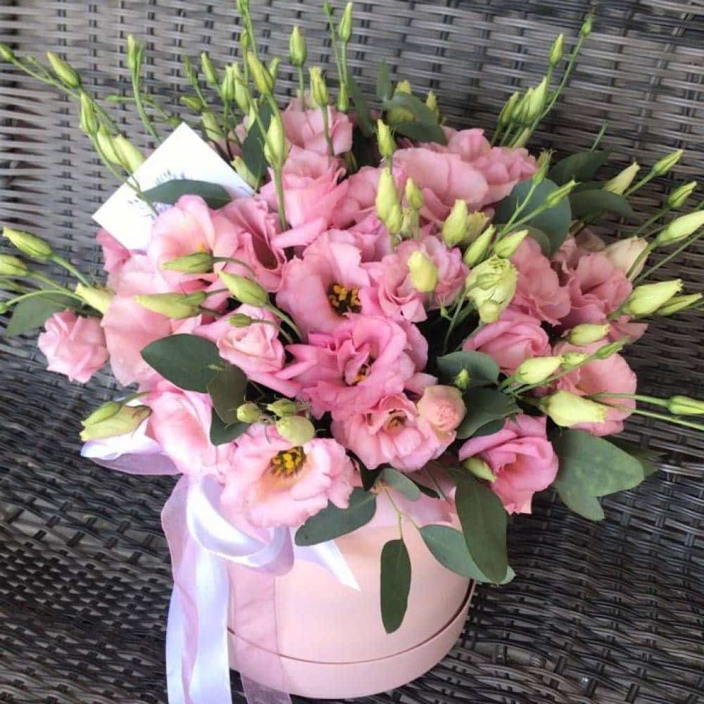 photo_5296444564832980478_y