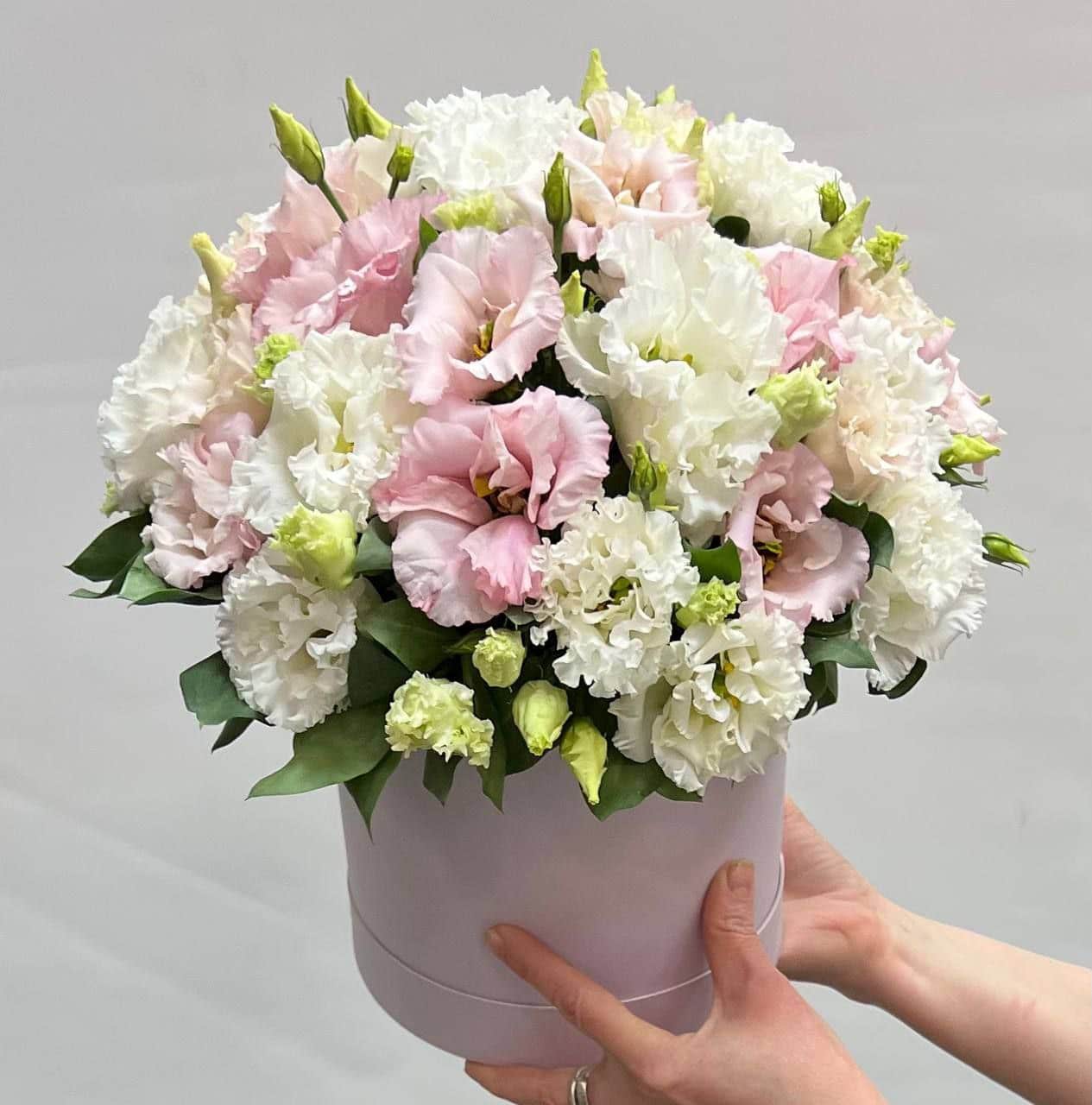 photo_5296444564832980490_y