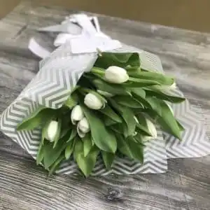 Белые тюльпаны