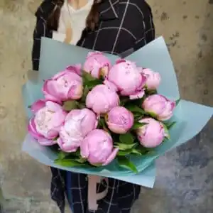 Розовые пионы