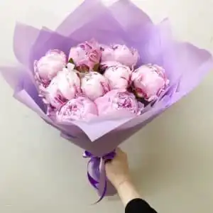 9 пионов розовых