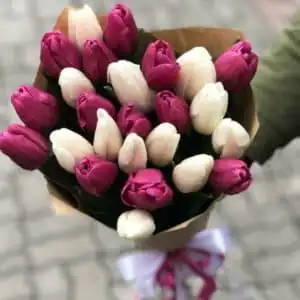 фиолетовые тюльпаны
