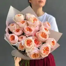 Розы