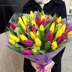 51 микс тюльпан