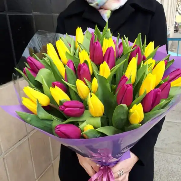 51 микс тюльпан