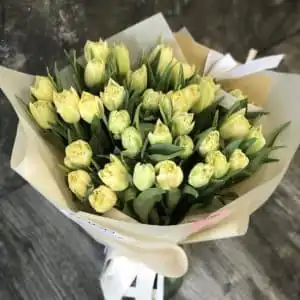 Тюльпаны в дизайнерской упаковке