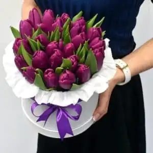 Тюльпаны