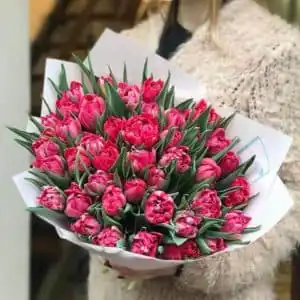 тюльпаны букет