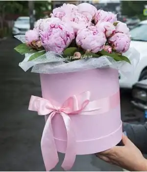 коробка с пионами