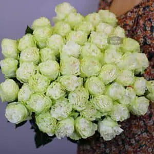 51 роза
