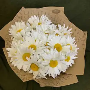 19 хризантем