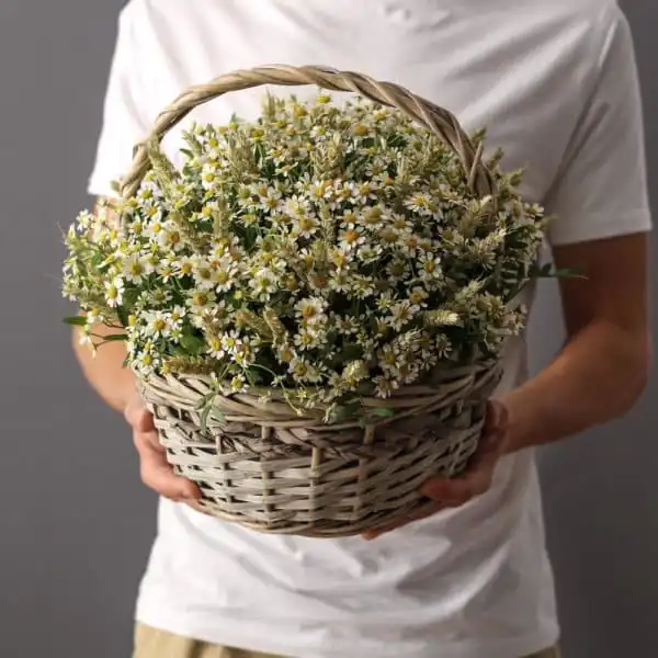 Корзинка с танацетумом
