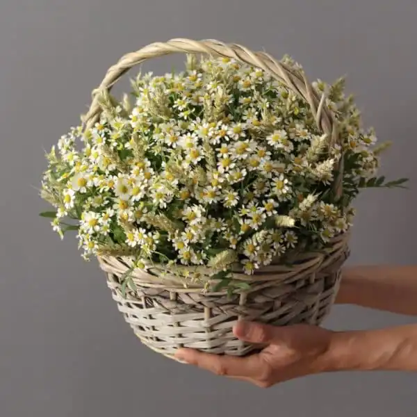 корзинка с полевыми цветами
