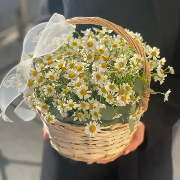 Ромашки в корзинке